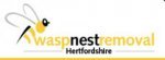 Wasp Nest Removal Hertfordshire - 1