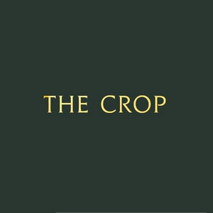 Jewellery shop The Crop opens in North Laine, Brighton