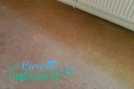 Carpet Clenze UK - 1