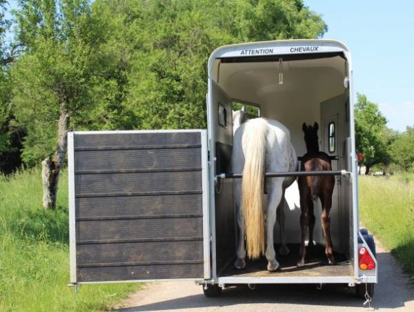 Cheval Trailers