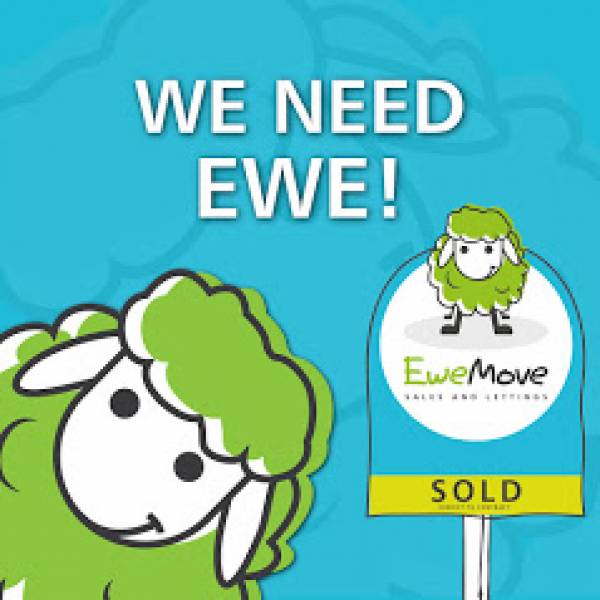 EweMove Estate Agents in Shrewsbury
