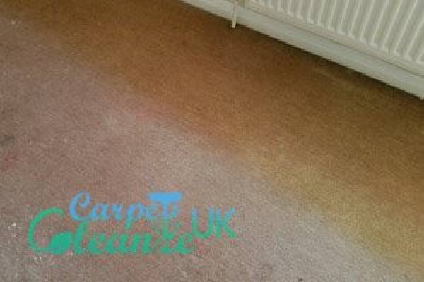 Carpet Clenze UK