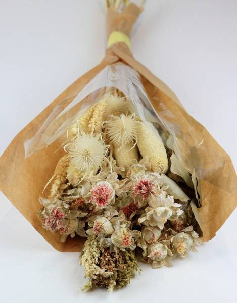 Dried Flowers & Decor