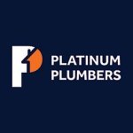 Platinum Plumbers - 1