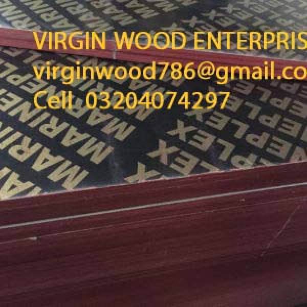 virgin shuttering plywood