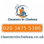 Cleaners Chelsea - 1