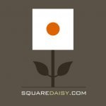 Square Daisy - 1