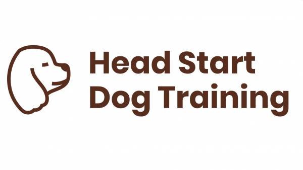 Head Start Dog Training