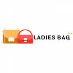 Ladies Bag - 1