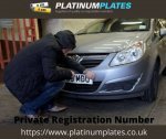 Platinum Plates - 1