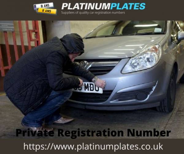 Platinum Plates