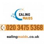 Professional Cleaners Ealing - 1