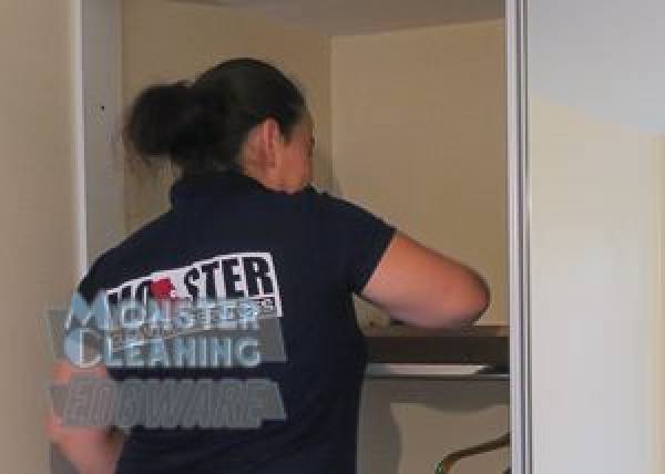 Monster Cleaning Edgware