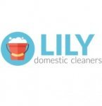 Lily Domestic Cleaners - 1