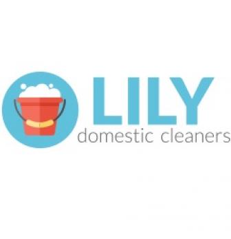 Lily Domestic Cleaners