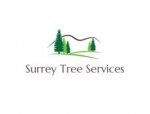 Surrey Tree Services - 1